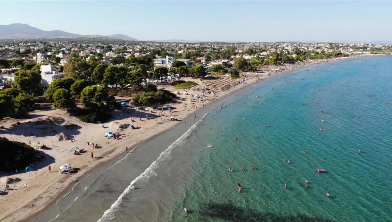 Athens Villa Artemis Pool Sea Airport Zewnętrze zdjęcie