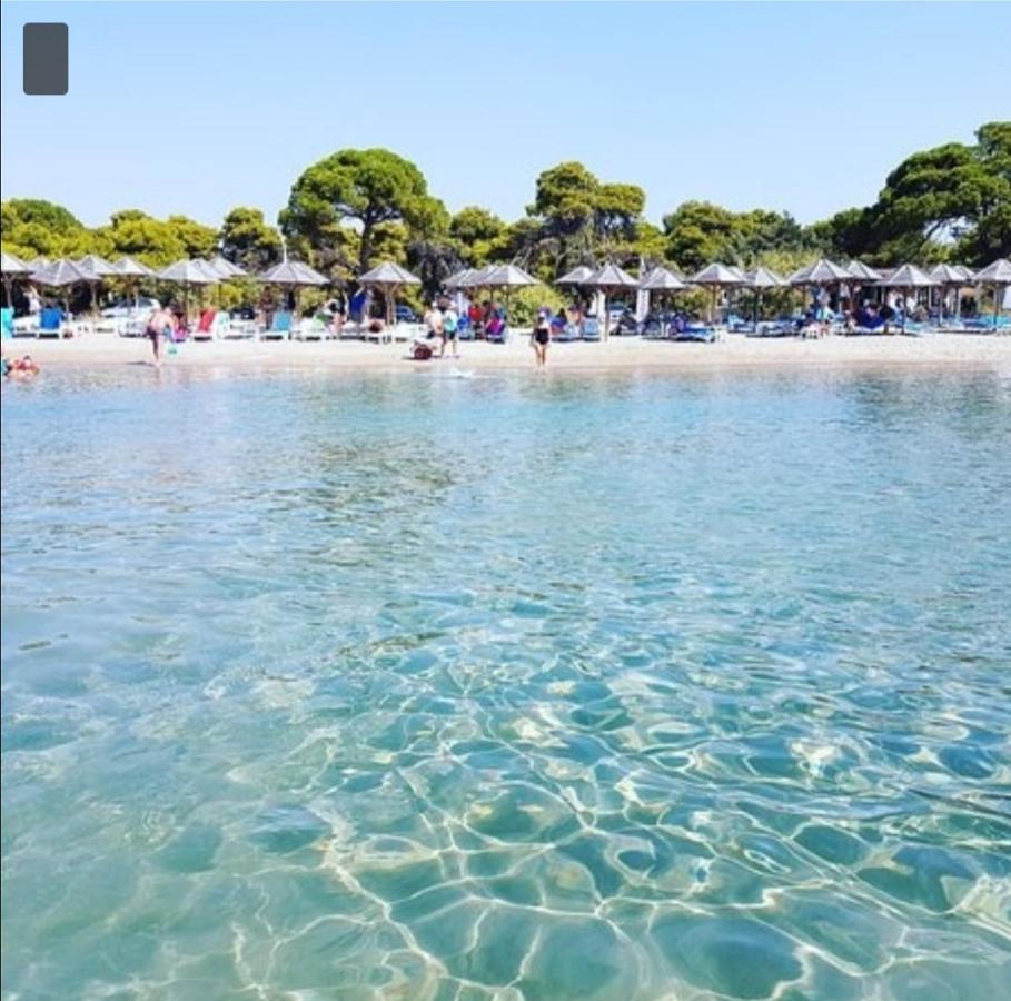 Athens Villa Artemis Pool Sea Airport Zewnętrze zdjęcie